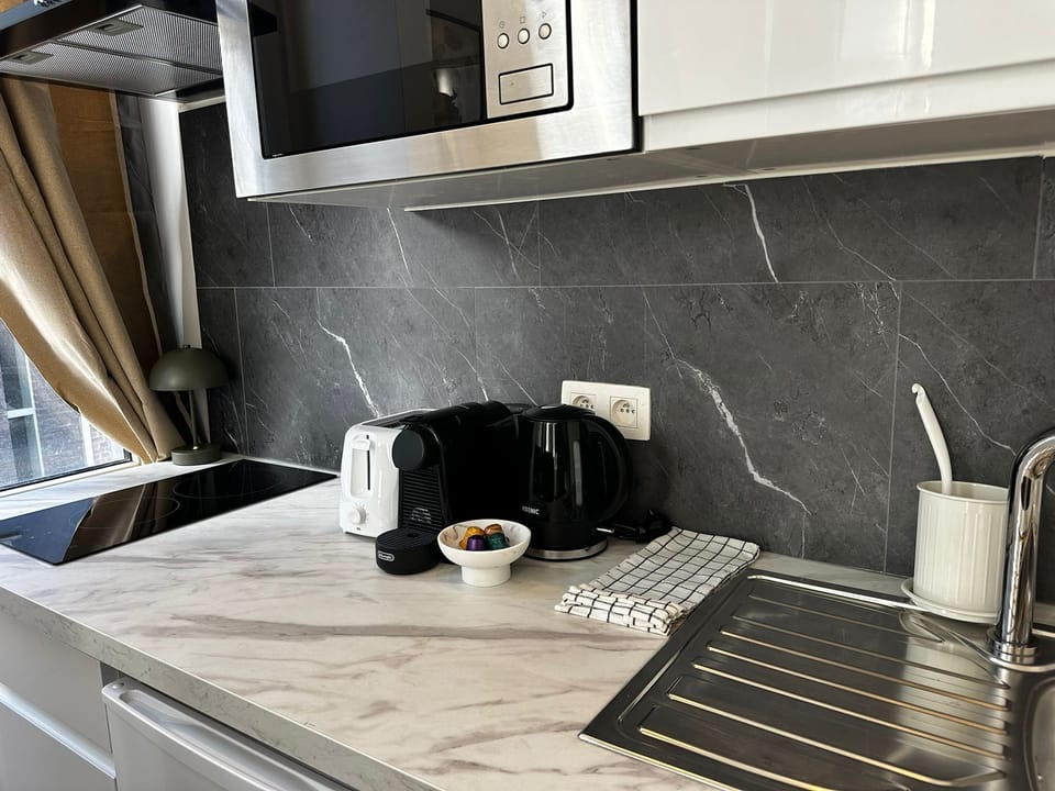 Basic Apartment | Private kitchen | Fridge, microwave, oven, stovetop