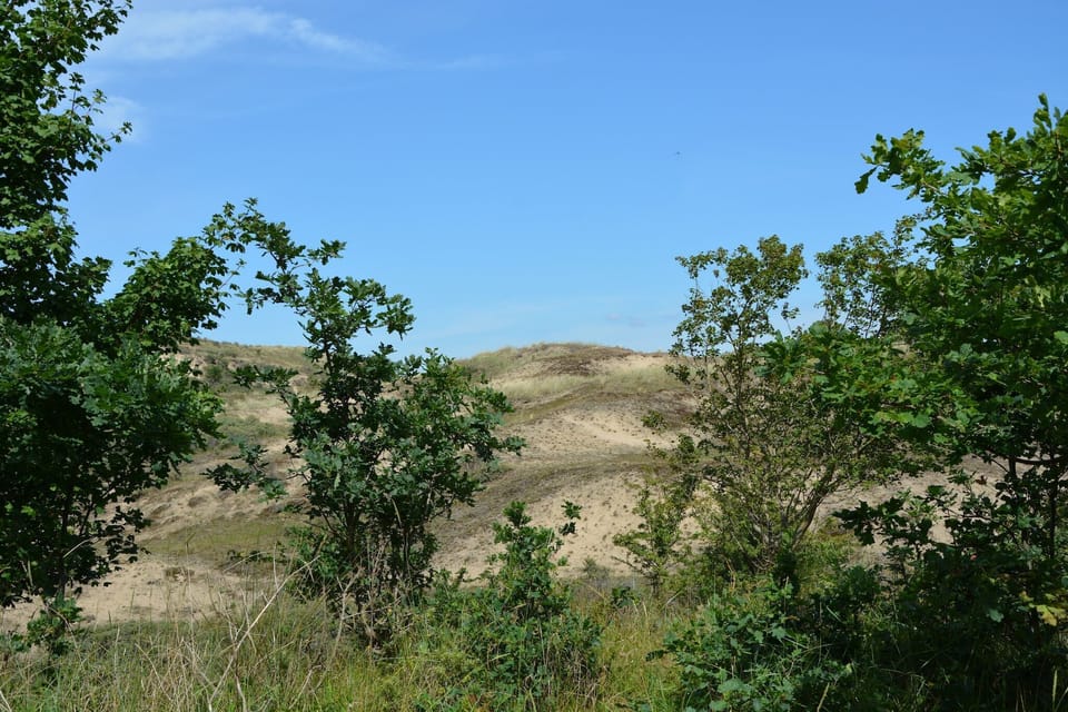 Surroundings [summer] (1-5 km)