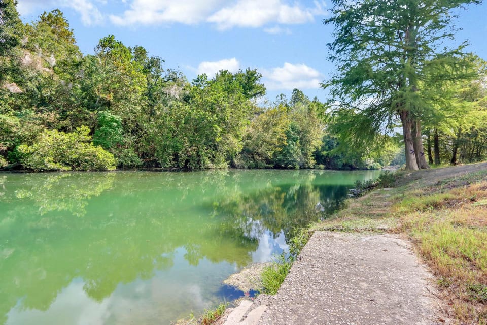 House, Multiple Beds, Patio (Guadalupe Bend Hideaway) | View from room