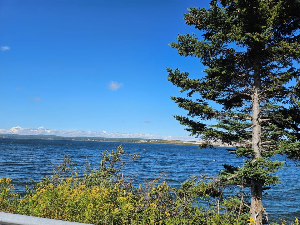 View from property