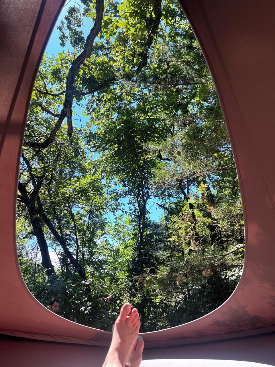 View from property