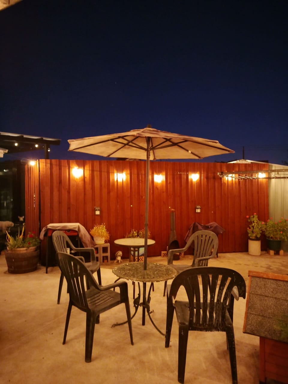Enjoy summer nights under the stars & Luna moon! With a refreshing hamper.