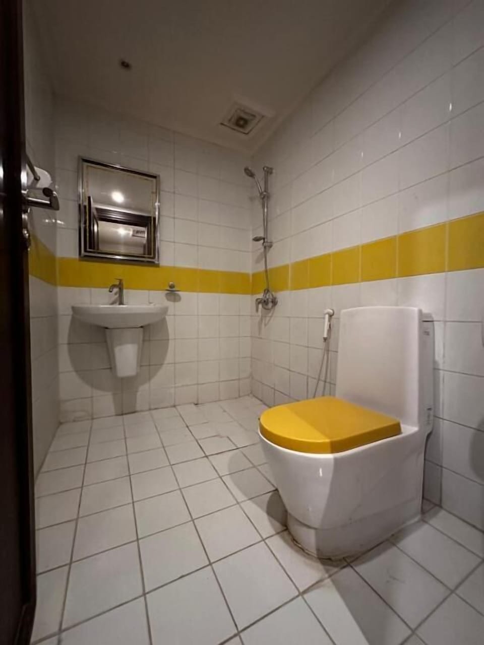 Shower, bidet, towels, soap