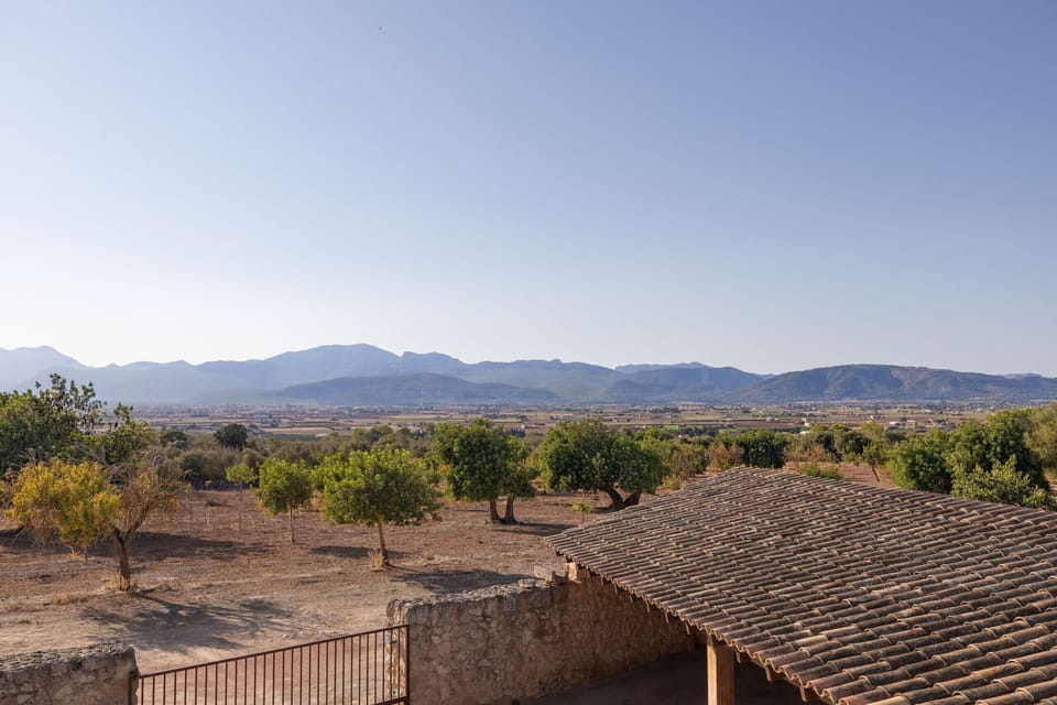 View from property