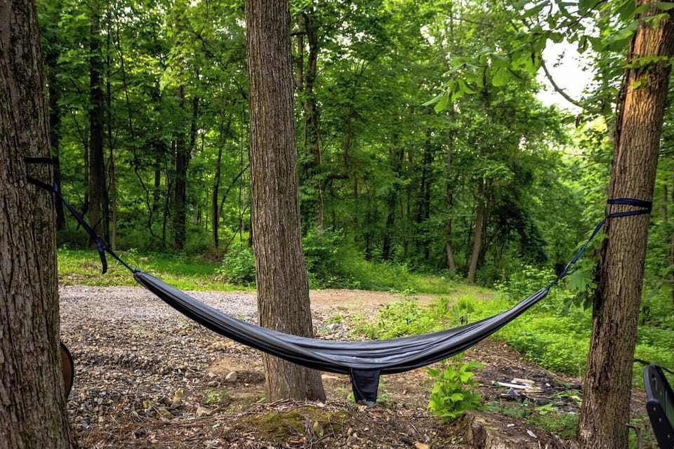 The yard area has a fire pit and hammock to enjoy