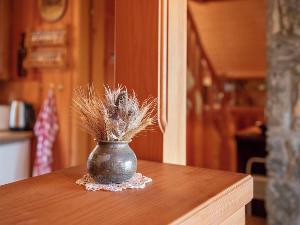 Wood, Wood Stain, Hardwood, Natural Material, Varnish, Plywood, Houseplant, Plank