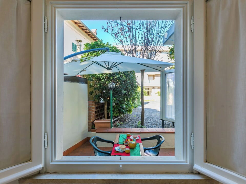 Home, Door, Chair, Flowerpot, Shade, Houseplant, Glass, Home Door, Outdoor Furniture, Hardwood