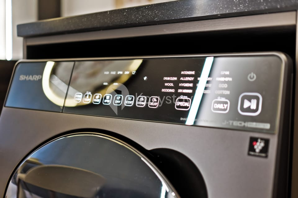 Apartment, 1 Bedroom, City View | Laundry