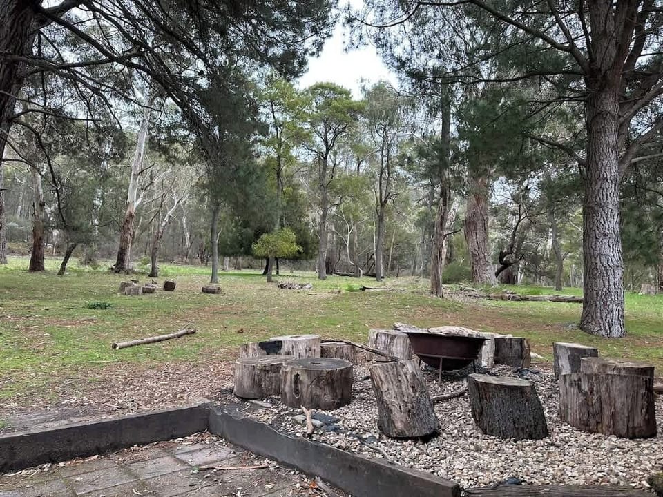 Evenings around the fire pit, surrounded by bushland and mountain air