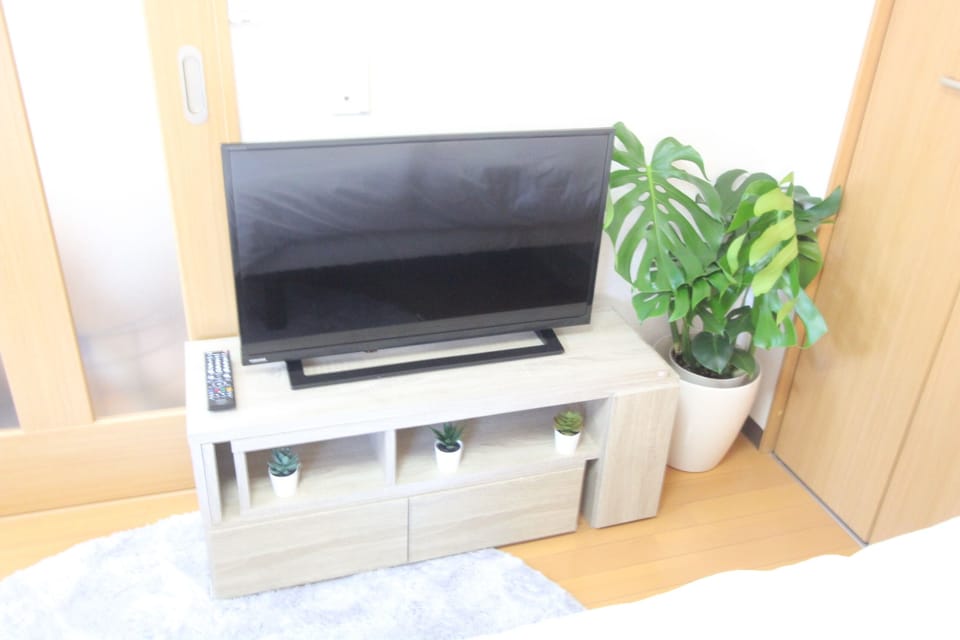 Television