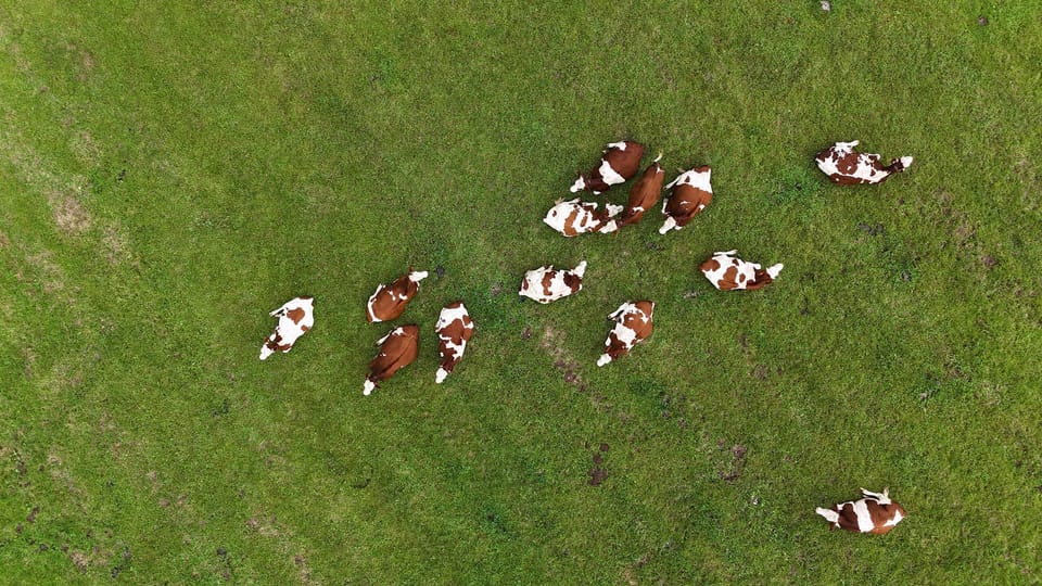 DJI_20240901163313_0224_D