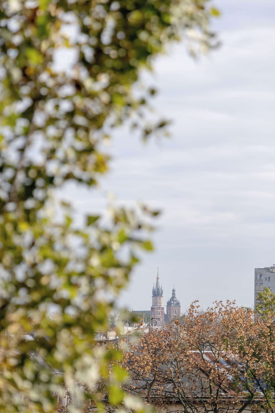 The view of the city skyline framed by trees lets you enjoy the closeness of nature in the heart of an urban setting.