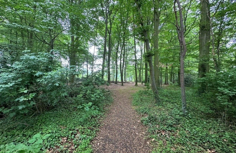 Bungalowpark Landsrade - Geschakelde Bungalow 25 - environment