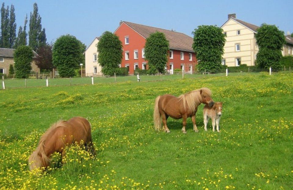 Bungalowpark Landsrade &ndash; Geschakelde bungalow 4 - environment