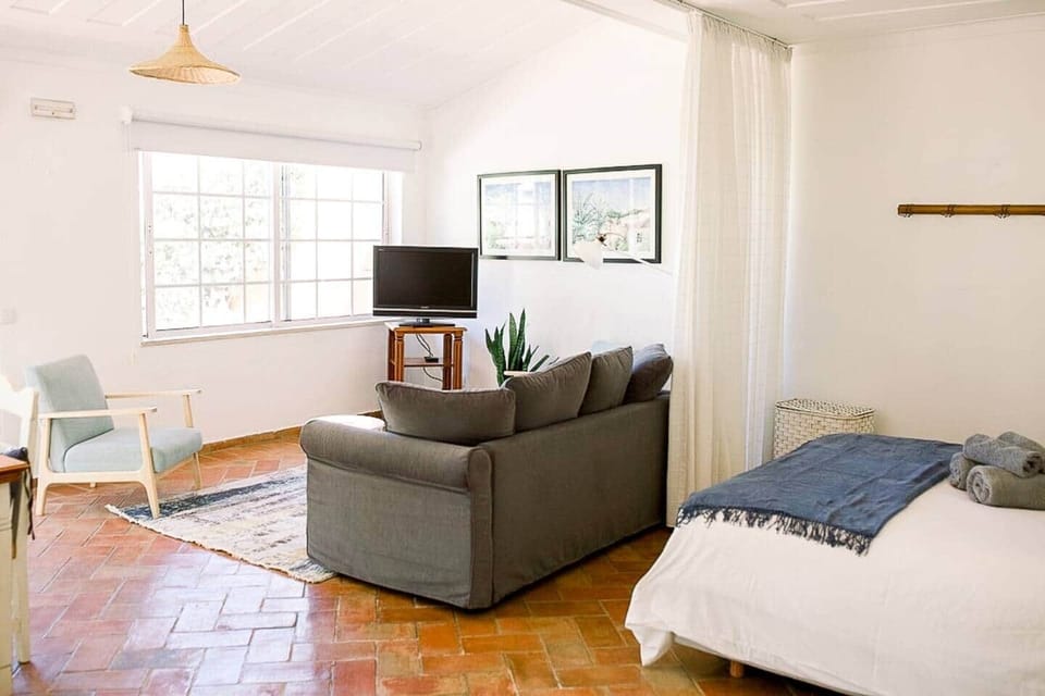 Open Concept Studio