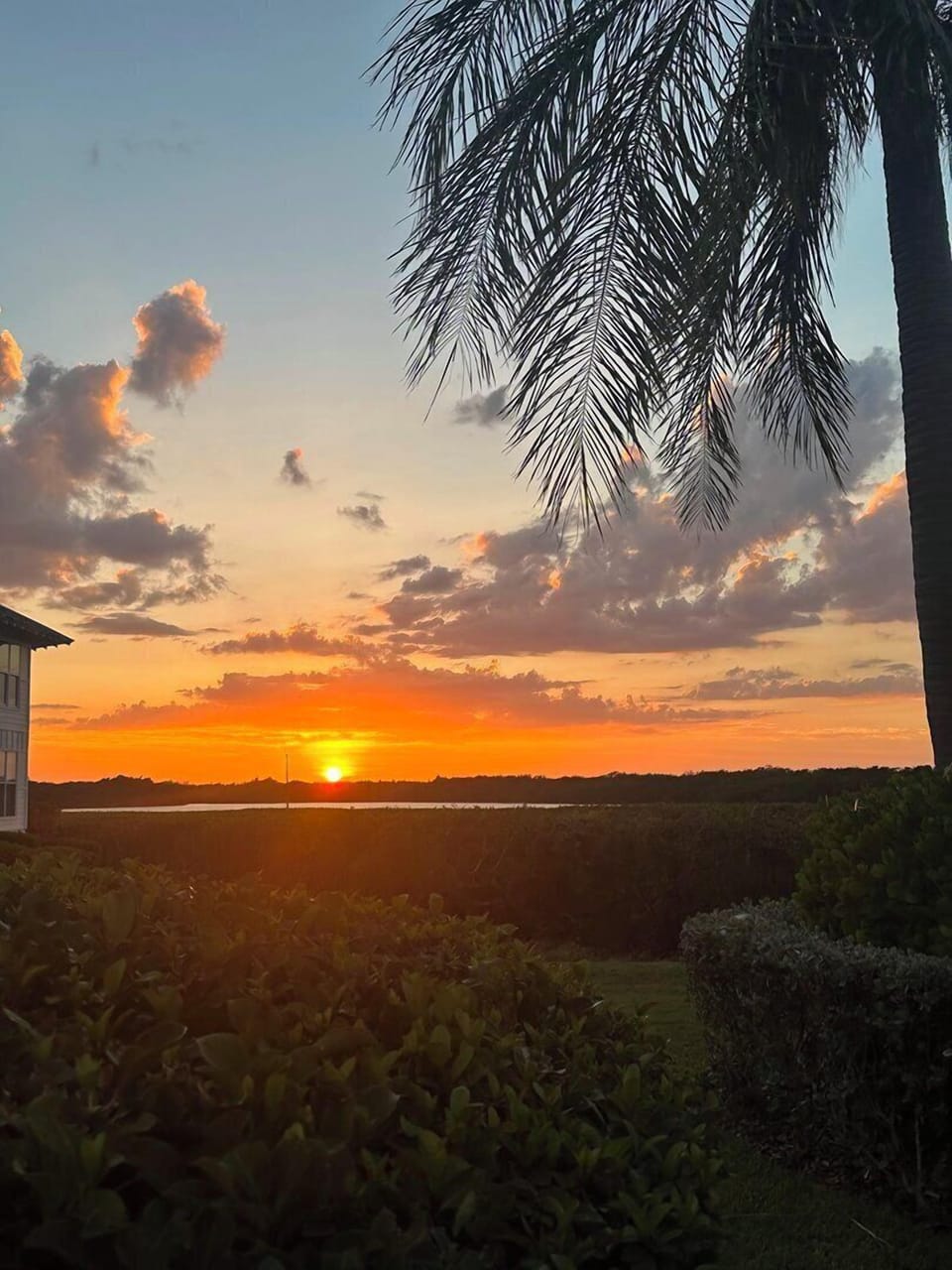 Glorious Sunset