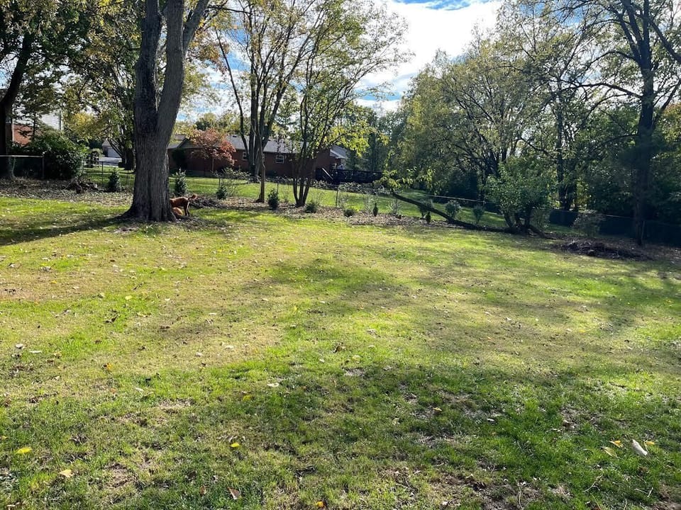 Large fenced back yard 