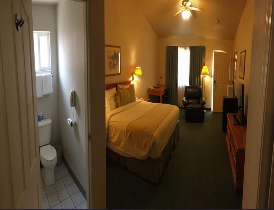 Non-Smoking 1 King Bed Room image 4