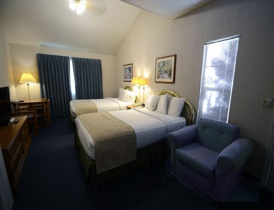 2 Queen Bed Suite Room image 4