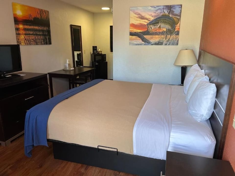 Single Room, 1 King Bed, Non Smoking | Desk, free WiFi