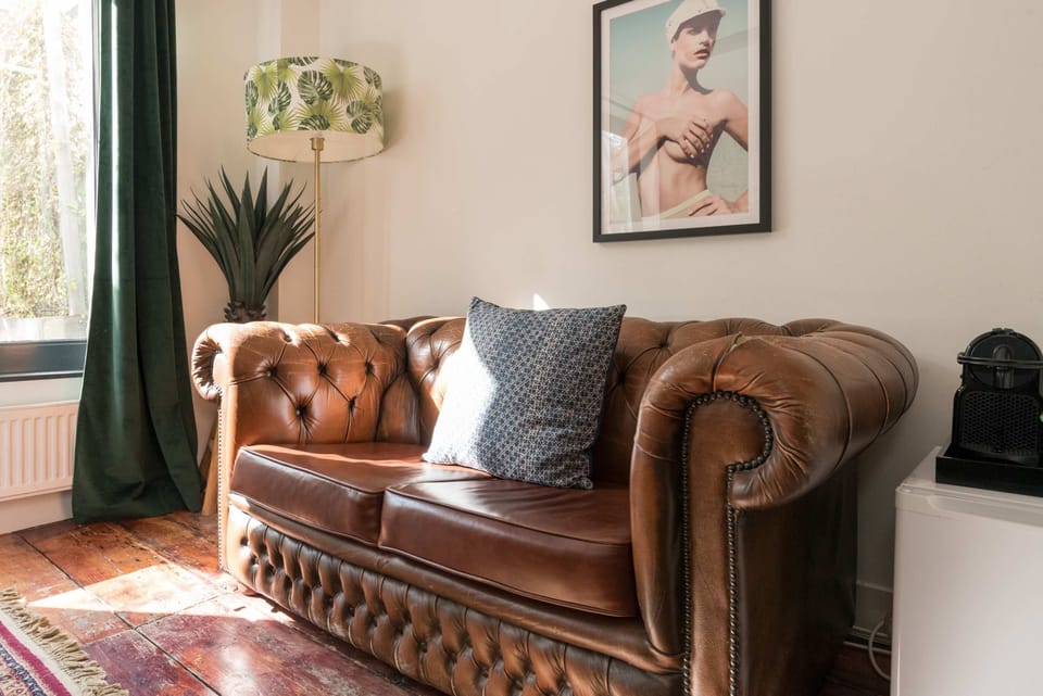 A classic Chesterfield sofa adds vintage charm to this sunlit corner.