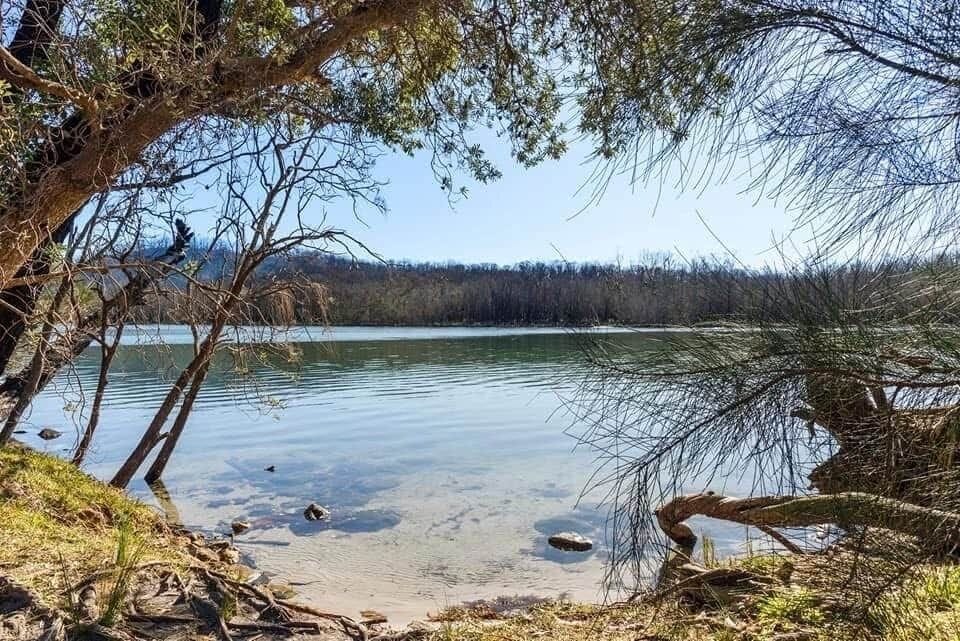 The lake edge out the back