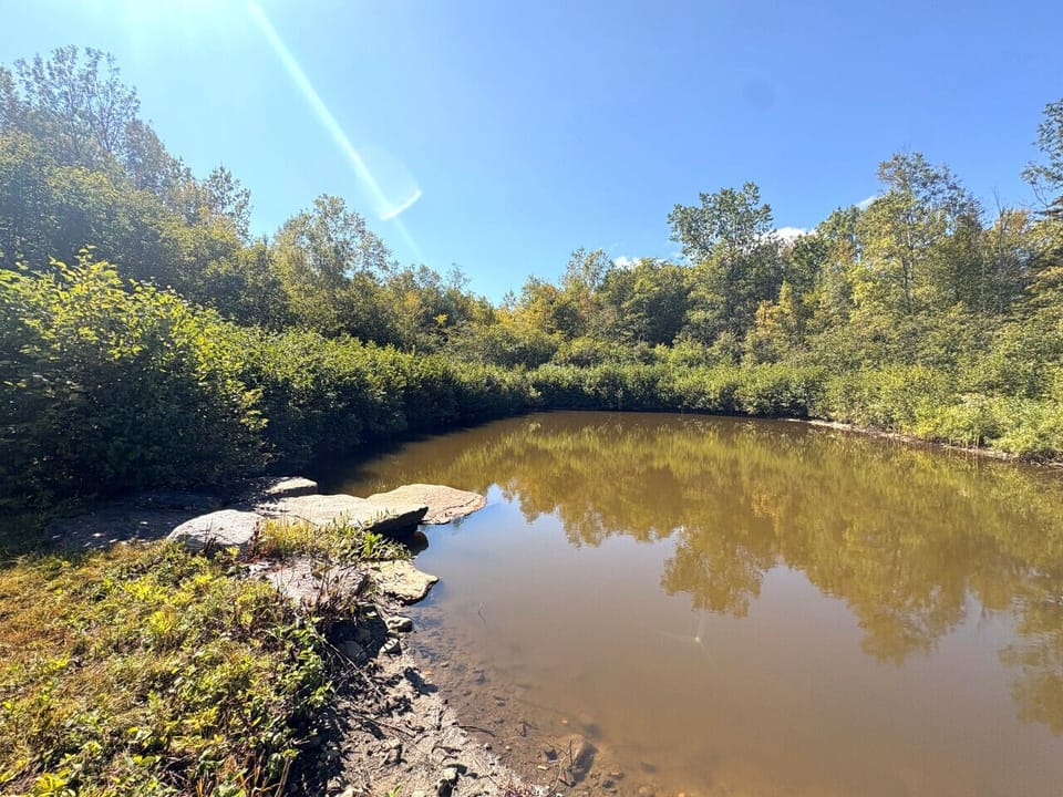 Pond on the rear of the property