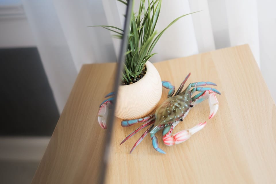 Small details that make the space feel warm and inviting.