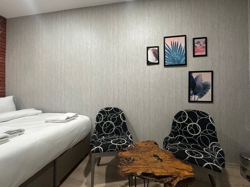 Basic Double Room | Minibar, iron/ironing board, free WiFi, bed sheets
