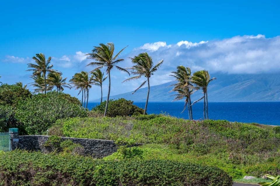 Experience Maui’s slower pace with this view as your constant backdrop—soothing, vibrant, and deeply grounding     KBV-37B3