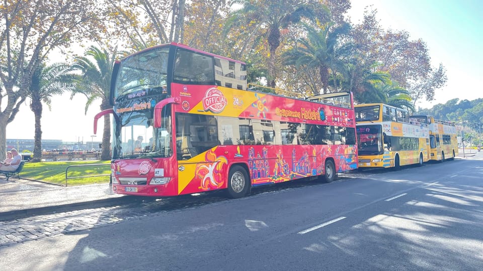 Atividades nas proximidades. Autocarros turísticos. Tours pela cidade ou ilha.
