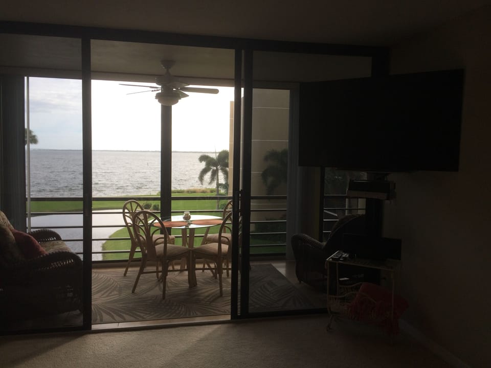 The View From Livingroom 