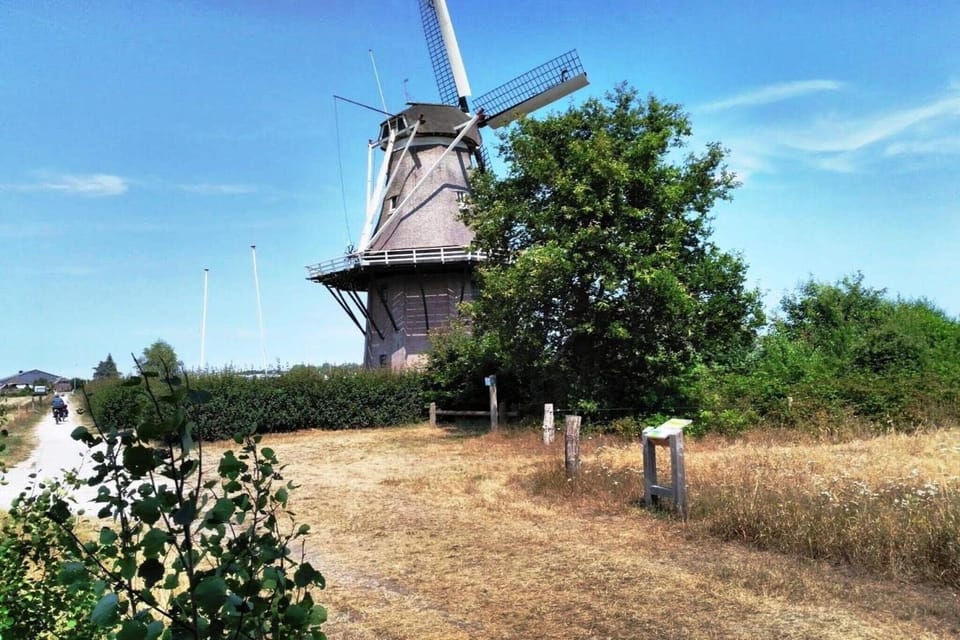 Region [summer] (>5 km)