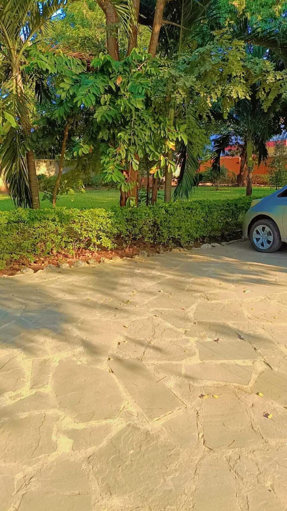 Free self parking