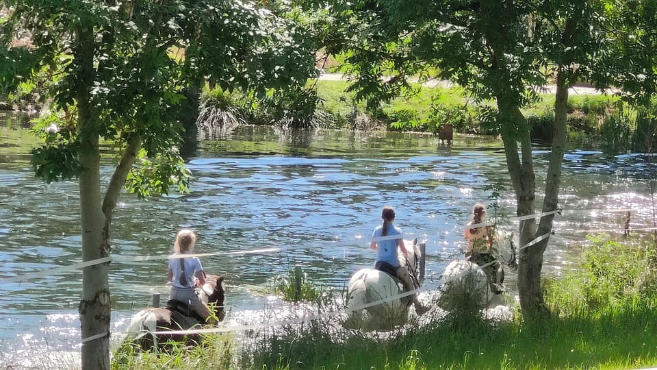 Horseback riding
