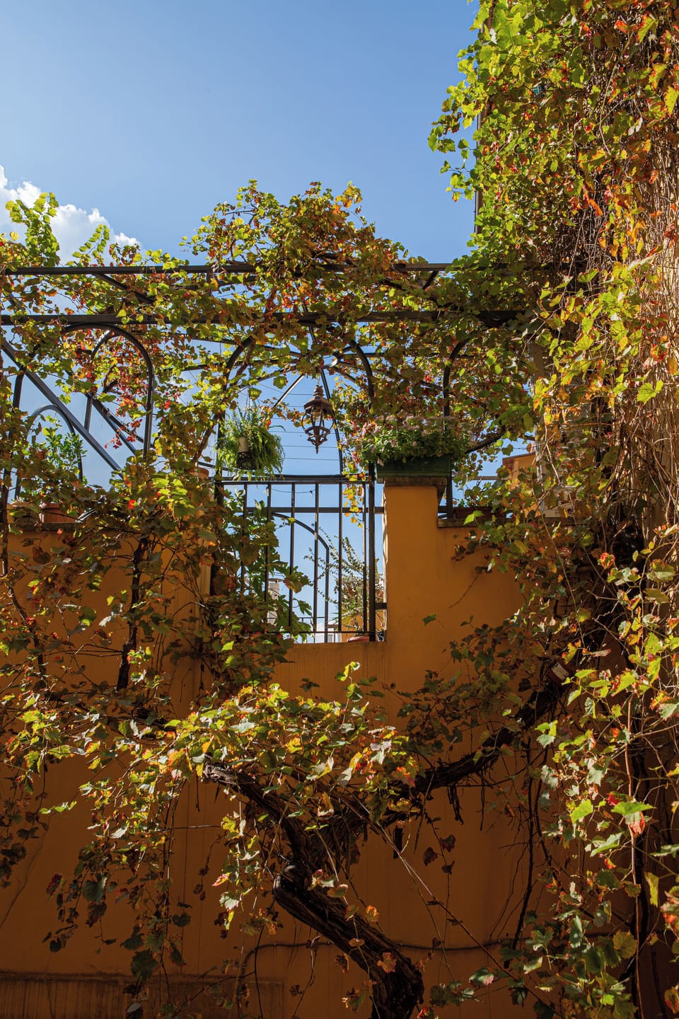 Exterior detail