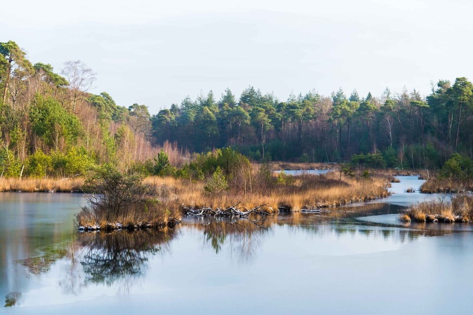 Discover the hidden gems just steps away.