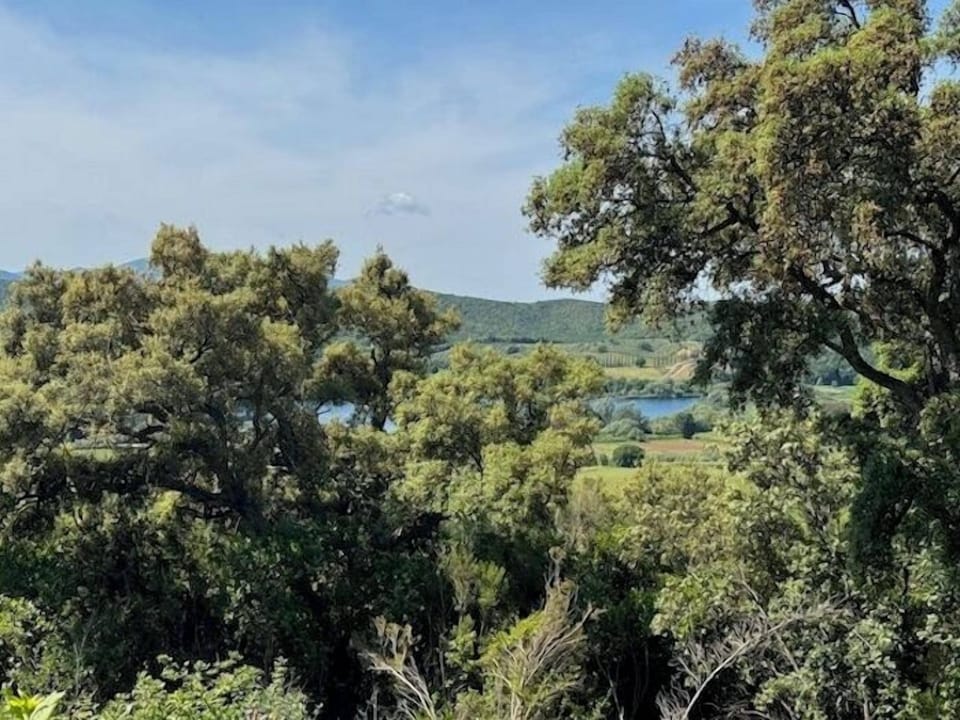 Land view from property