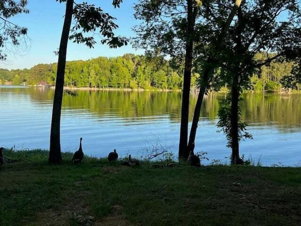 Lake
