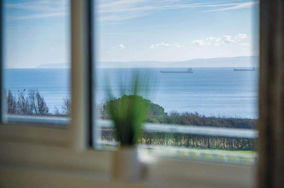 Apartment (1 Bedroom) | Beach/ocean view