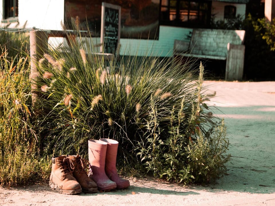 House | View from property