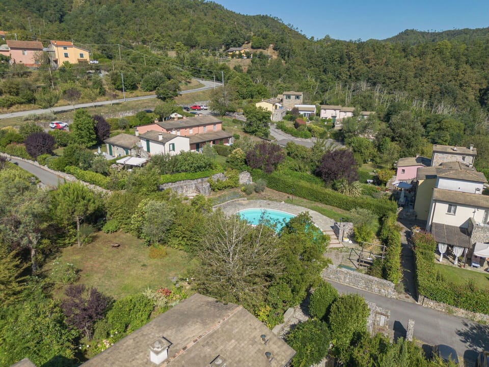Tree, Vegetation, Residential Area, Landscape, House, Rural Area, Land Lot, Human Settlement, Village