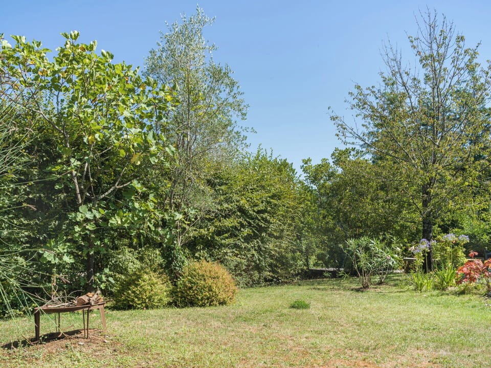 Leaf, Green, Natural Environment, Vegetation, Branch, Shrub, Grassland, Plant Community, Land Lot, Garden