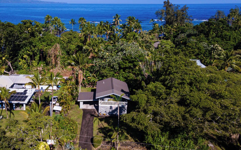 Birds eye (nene) view. Just short stroll to the beach.