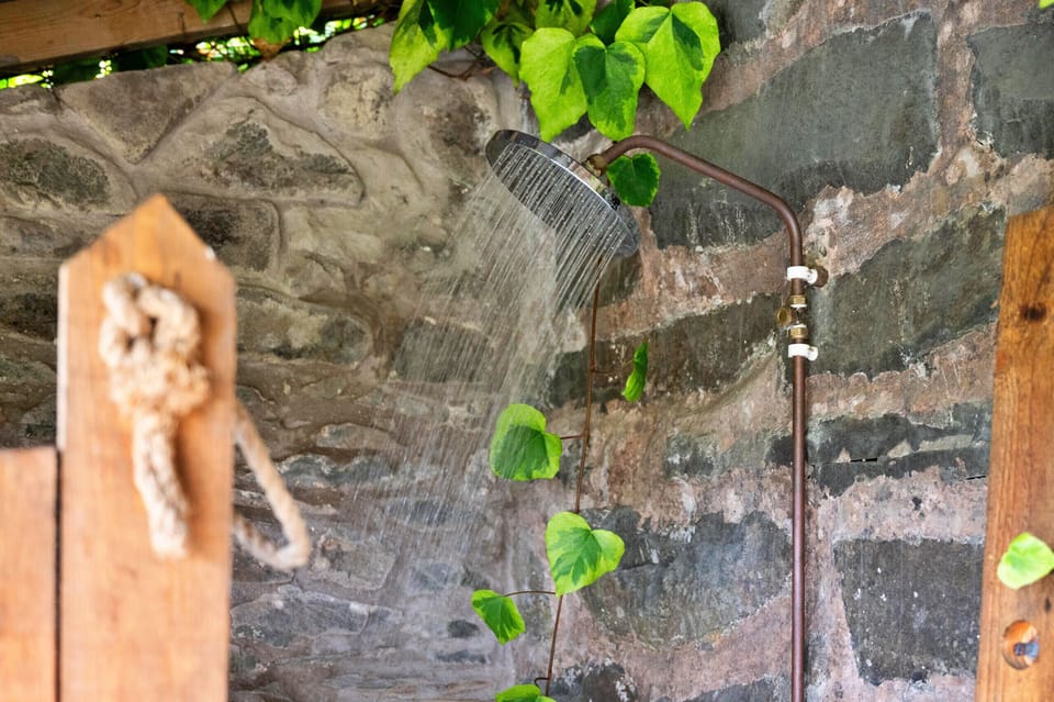 Hand-held showerhead