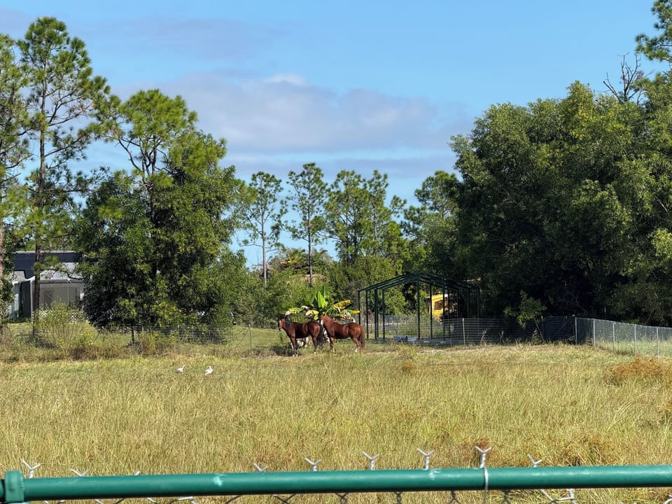 Neighbors to the back with horse viewing to enjoy
