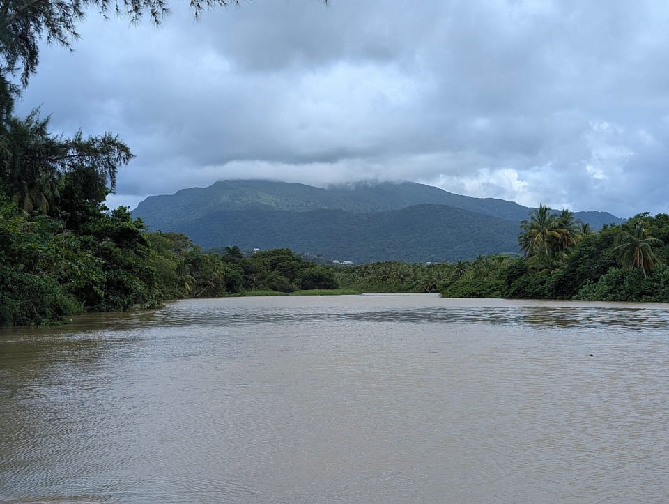 Neighbourhood,River view