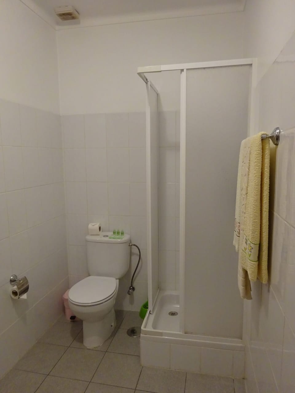 Economy Double or Twin Room, Private Bathroom, Hill View | Bathroom | Shower, towels, soap, shampoo