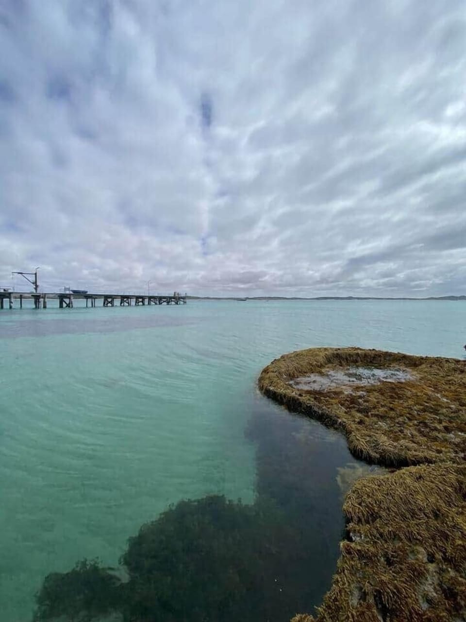 The reef in all its turquoise beauty, crystal clear