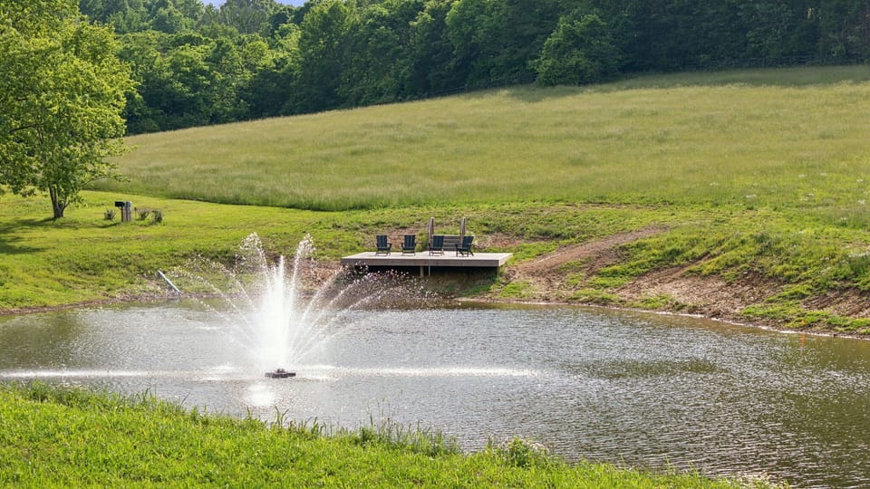 Backyard: Escape to tranquility! Enjoy the beauty of your own lake on our expansive 20-acre estate.